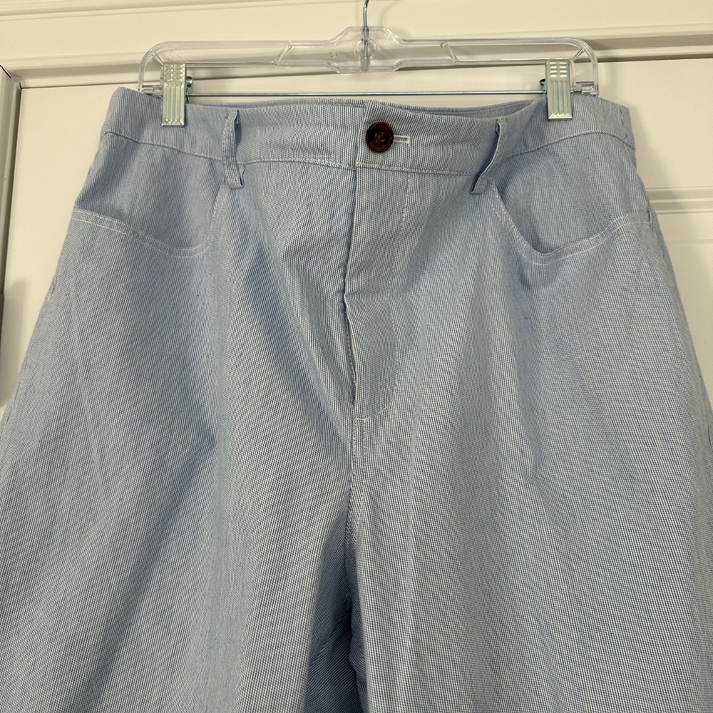 Light Blue J Crew Cotton Pants
